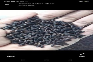 barma black rice from Pakistan
