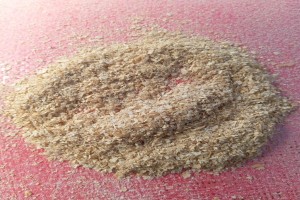 Wheat Bran from Pakistan
