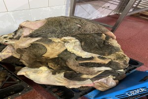 Beef tripe from Poland