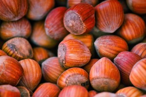 Hazelnuts from Poland from Poland