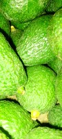 Avocado from Rwanda