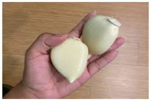 Garlic G1 from Arabia Saudita