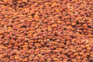 Sudanese Pigeon Peas from Sudan