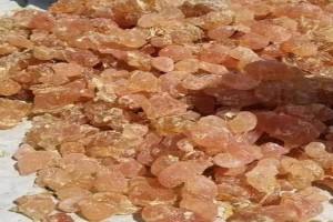 Gum Arabic Hashab Cleaned from Sudan