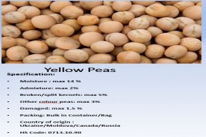 Yellow Peas from Singapore