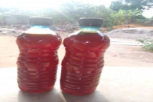 Bee Honey from Sierra Leone