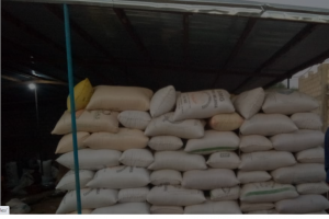 Shelled and sorted peanuts from Senegal