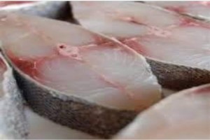 Fish in local name (jeedar) from Somalia