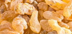 Bosw. carterii & Bosw. frereana frankincense from Somalia