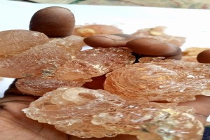 Gum Arabic from Chad