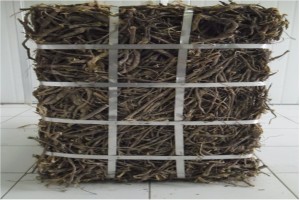 Licorice root from Turkmenistan