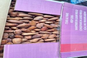 DATTES TUNISIE from Tunisia