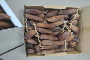 Wet Dates from Tunisia