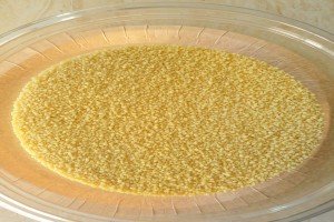 Medium couscous / wholewheat couscous from Tunisia