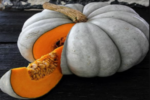 Adapazari Pumpkin from Turkey