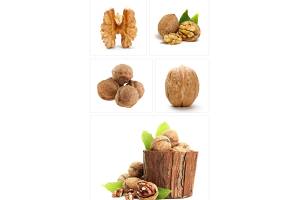 we produce the highest quality walnuts in turkey from Turkey