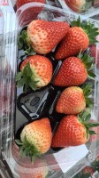 Fresh Strawberries from Turkey