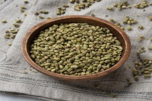BALL THYME from Turkey