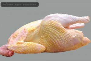 Chicken meat (kuku wa kienyeji) from Tanzania