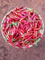 Red chilli from Tanzania
