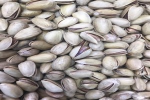 Pistachio Nuts from Tanzania