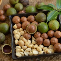 Macadamia Arusha from Tanzania