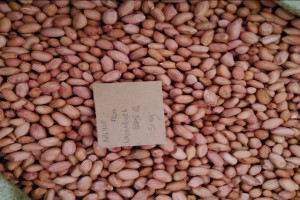 Groundnut from Tanzania