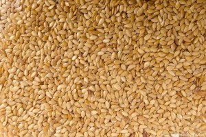 SESAME SEEDS FROM TANZANIA from Tanzania