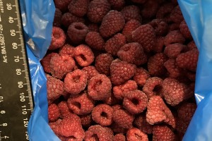 заморожена малина ціла from Ukraine