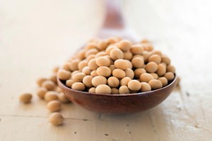 Soybean from Ukraine