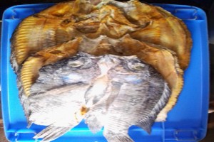 Tilapia fresh water fish from Uganda