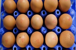 Yellow yoked eggs from Uganda