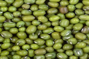 Green Gram from Uganda