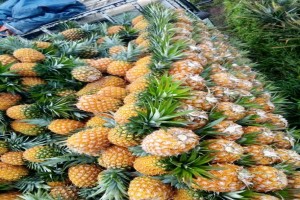 Ananas from Ouganda