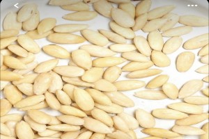 White almonds from Uganda