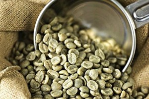 Arabica Coffee from Uganda