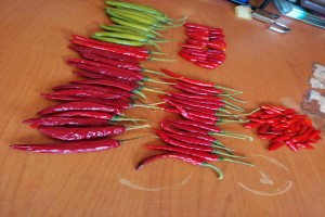 Organic chill from Uganda