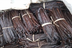 Vanilla beans from Uganda