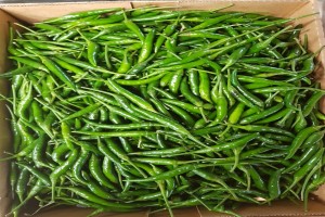 Green Chillies from Uganda