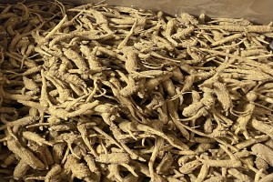 Akar ginseng from Amerika Serikat