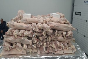 Merino Lamb from South Africa