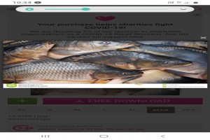 Mag Fishers from Zuid-Afrika