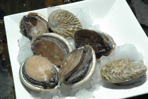Cultivated Abalone from South Africa