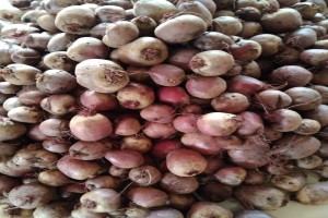 Beetroot from South Africa