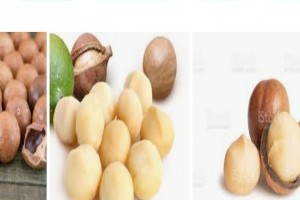 Macadamia nuts from South Africa