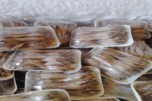 Sardine freshly harvested from Zambia