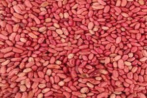 Fasola from Zambia