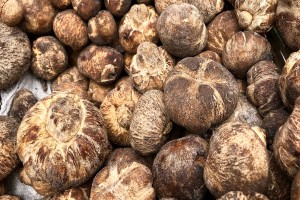Kalahari Truffles from Zambia