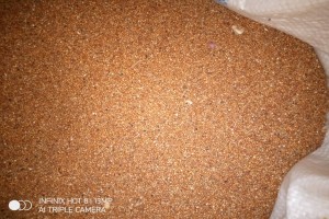 Millet from Zambia