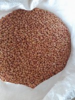 Groundnuts from Zambia